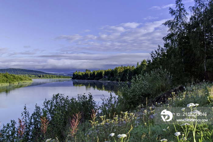 Ivalo river and flowers, Ivalo, Finland