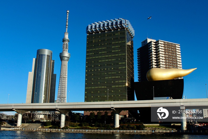 Cityscape in Tokyo Japan