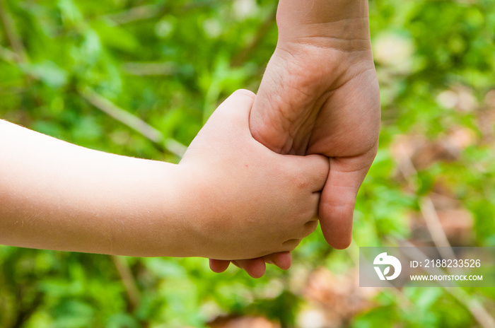 The photo shows the concept of the relationship of mother and child. boy holds parent’s hand