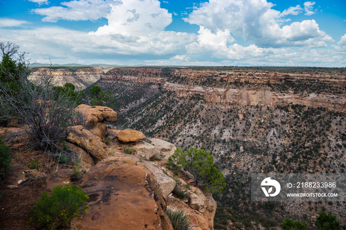 Cliffs and Canyons, Mesa Verde National Park, Colorado