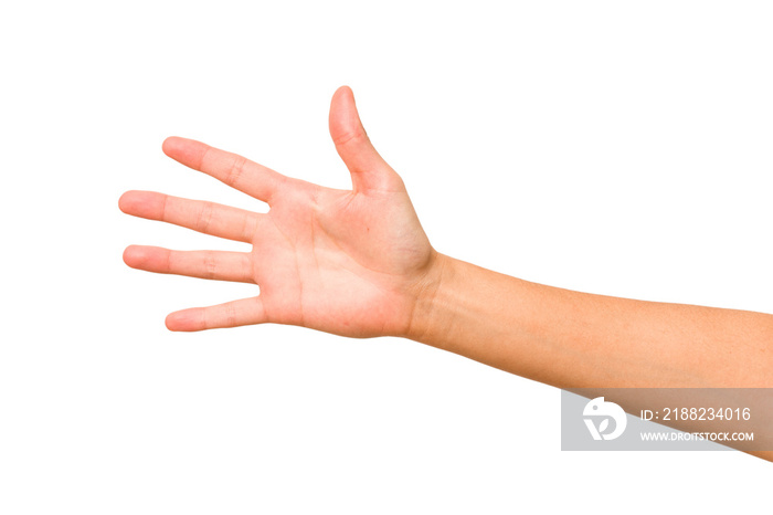 caucasian hands gesturing isolated on a white background