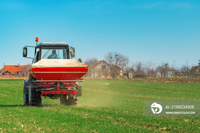 Agricultural tractor fertilizing wheat crop field with NPK