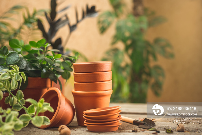 Mini Terra Cotta pots, gardening tools, and plants