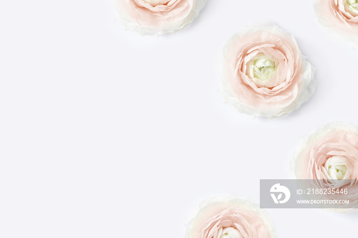 Styled stock photo. Feminine desktop mockup with blush pink buttercup flowers, Ranunculus, on white table background. Flat lay, top view. Floral pattern. Picture for blog, social media.