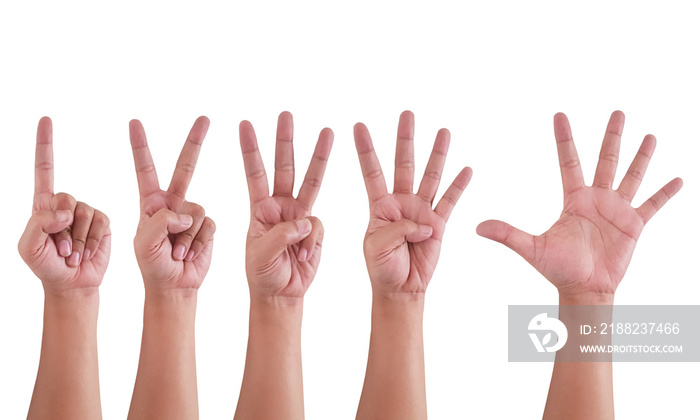 one two three four five counting hands isolated on white background