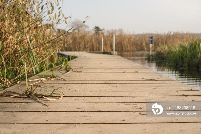 Wooden pier by a lake in autumn