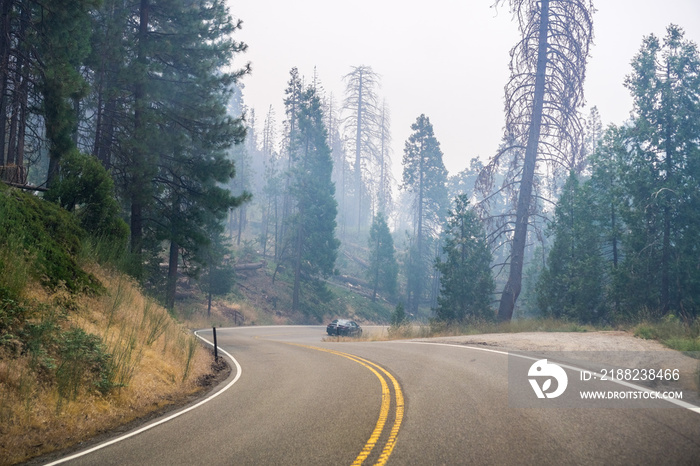 Driving through a forest in Yosemite National Park; heavy smoke from Ferguson Fire covering the sky, California