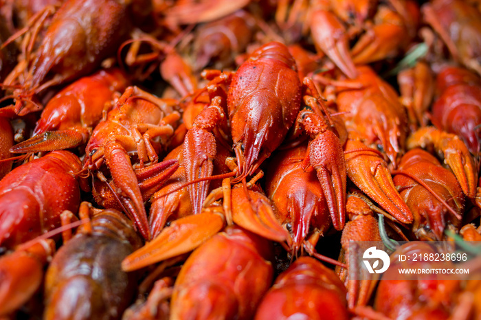 boiled crayfish on an iron plate. boiled red crayfish background for menu. top view, close up photo. a plate of cooked crayfish. Boiled crayfish, a traditional Russian dish. Hot Boiled Crawfish