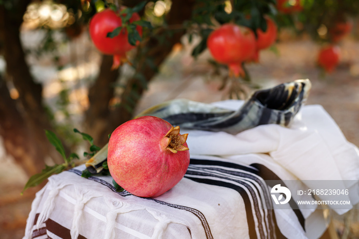 Shofar (horn) on shawl tallit in the garden against the background of pomegranate bushes