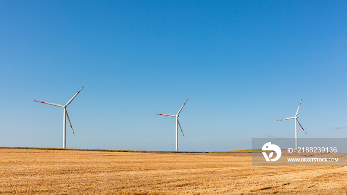 yellow fields and renewable energy on a summer day, wind turbine