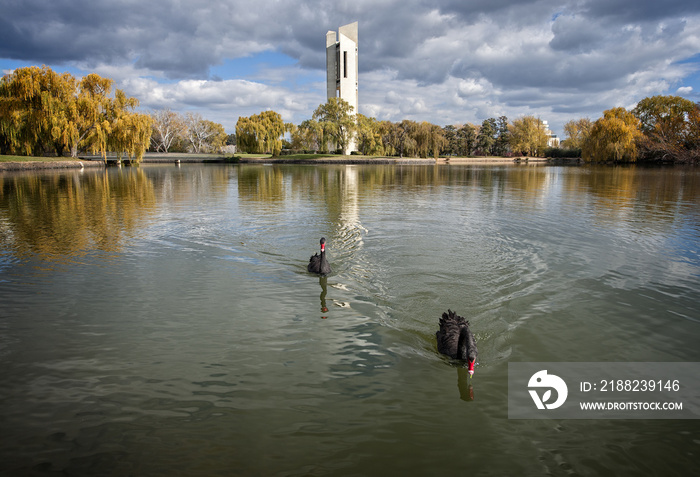 National Carillon, Lake Burley Griffin, Canberra Australia