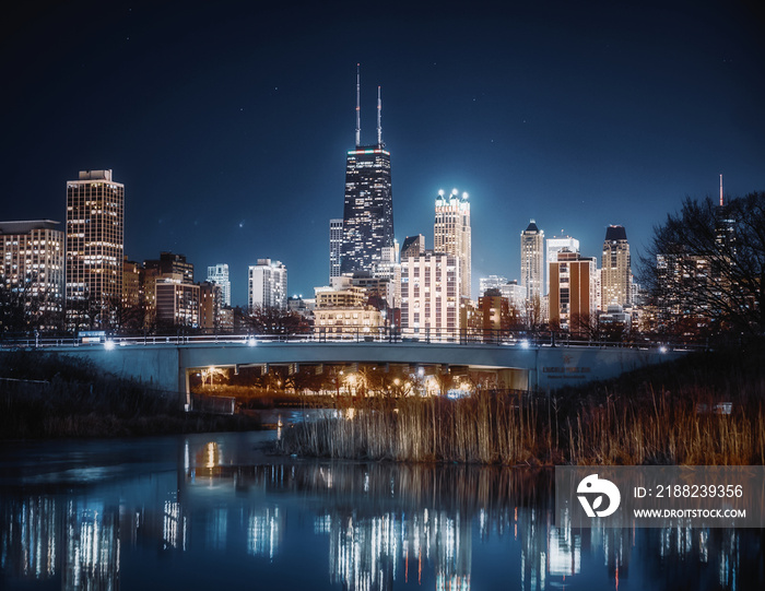 Chicago skyline at night from Lincoln Park in Chicago, Illinois, USA.