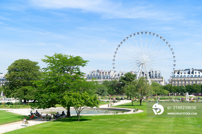 Tuileries garden, Paris