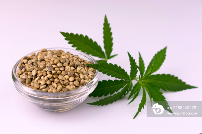 Hemp seeds in a glass bowl with hemp leaves on a white background. Cannabis sativa.