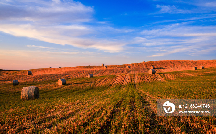 Hay bales on the field at sunset, Tuscany, Italy