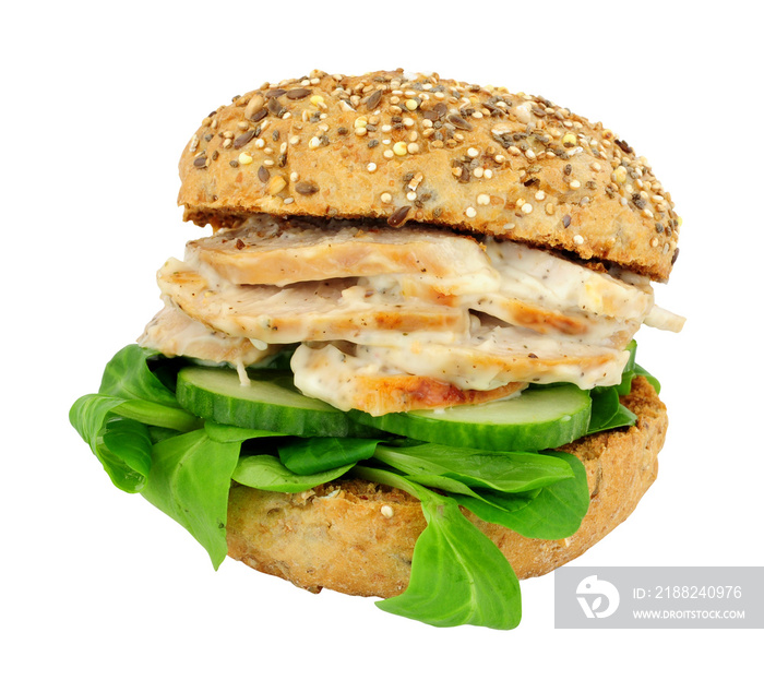 Roast chicken and salad sandwich in a multi seed topped bread roll isolated on a white background