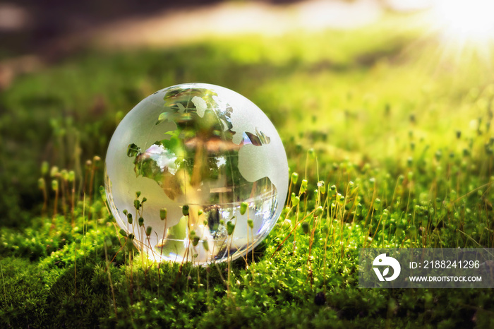 globe glass on grass with sunshine. environment concept