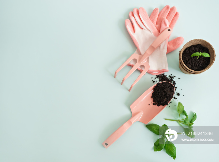 composition of gardening tools on blue background