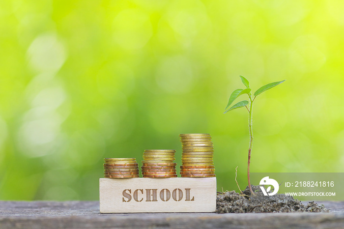 SCHOOL WORD Golden coin stacked with wooden bar on shallow DOF green background.