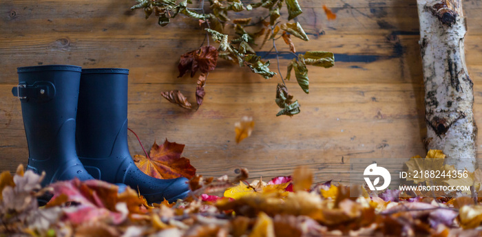 Autumn composition with rubber boots in front of a leafy wooden background thanksgiving festivities invitation authentic autumn weather nature decoration bio diy natural background text space