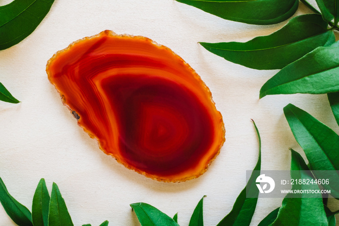 Red Agate Slice with Jasmine Leaves