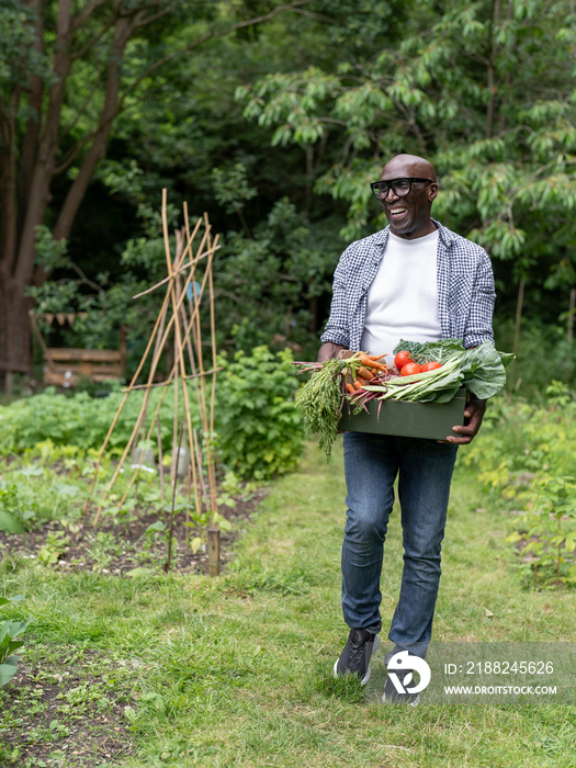 Smiling mature man holding vegetables from garden