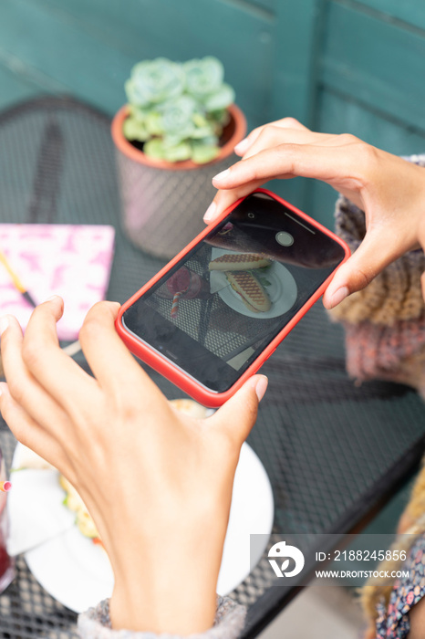 Woman photographing lunch with smart phone in garden