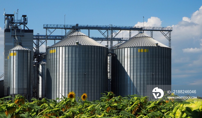 Grain silos in front of a sunflower field