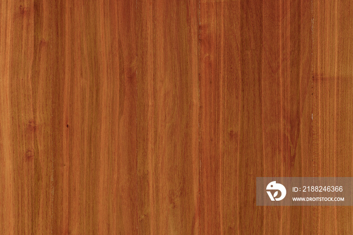 acacia timber tree wooden surface wallpaper structure texture background