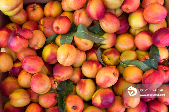 Fresh peaches, close up in the market