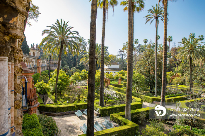 Beautiful formal public garden inside Alcazar Seville palace in summertime in Andalusia