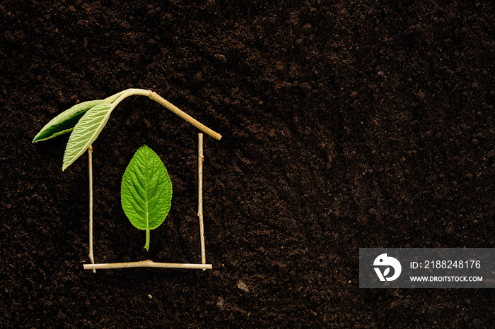 House shaped symbol made of twigs, sprout and leaf on black earth background. Eco house concept. Investments in green housing. Copy space.