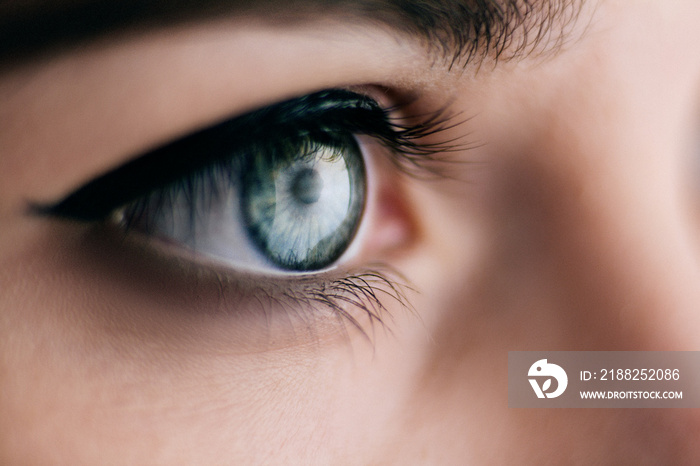 Close up of blue woman eye with beautiful natural makeup. Girl looking to the side, beauty of human body