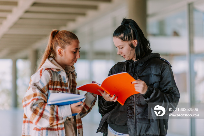 High school females studying together, outdoors