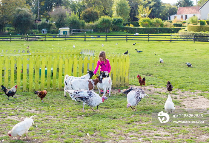 belle jeune fille donnant à manger aux animaux de la ferme