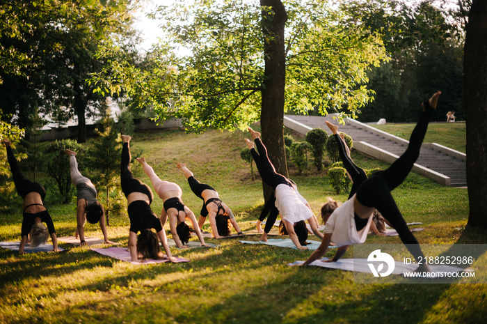 Group of flexible women are stretching in Three Legged Downward Facing Dog exercise, Adho Mukha Svanasana pose. Group of people are practicing yoga lesson in city park at sunny dawn