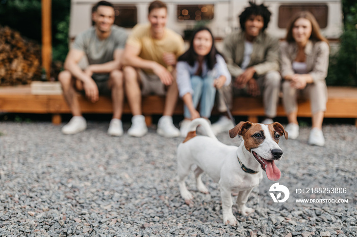 Group of diverse young friends sitting near RV on camping trip, selective focus on cute dog