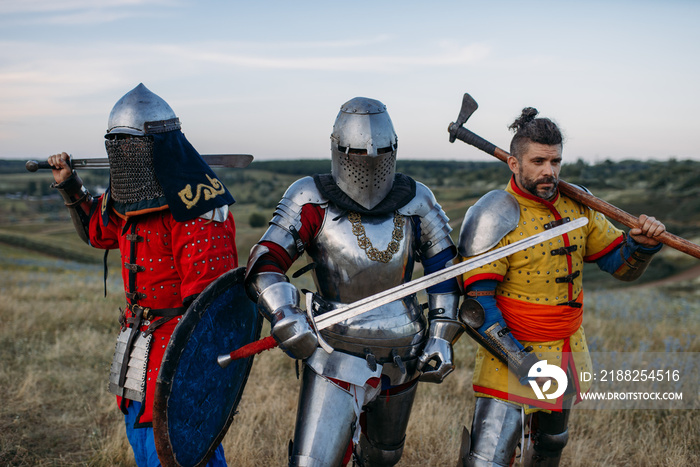 Knights with swords and axe poses in armour