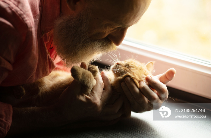 Senior man holding cute red cat at home. Man and cat hugging.