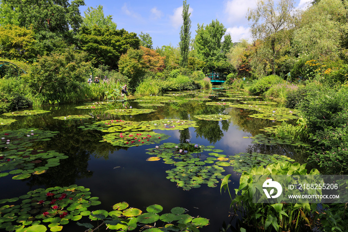 モネの庭マルモッタン・水の庭と睡蓮