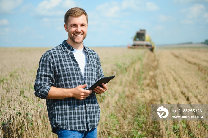 Farmer Standing In Wheat Field At Harvest