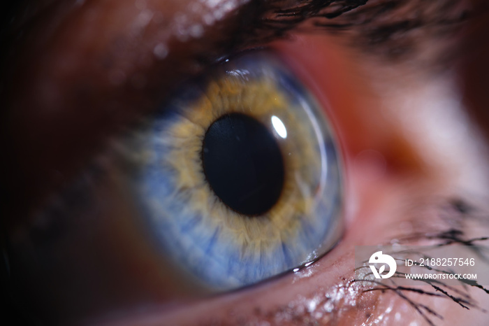 Woman with bright blue eyes on iris closeup