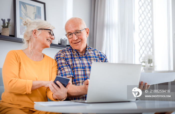 Senior couple checking bills using laptop at home