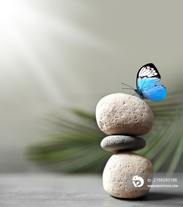 Harmony of Life Concept. Butterfly on the Pebble Stone Stack against palm leaf. Calm, Mind, Life Relaxing and Living by Nature. Vertical image