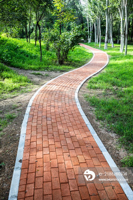 Curvy sidewalk in the park