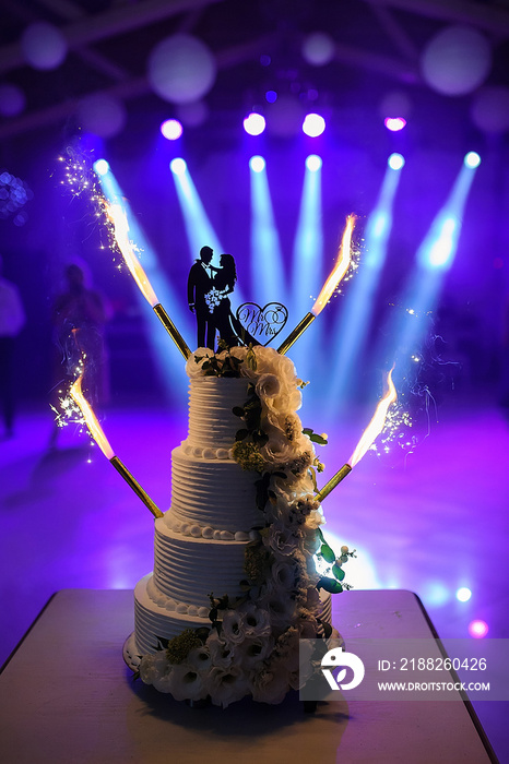 A wedding cake with silhouette of bride and groom
