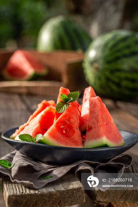 Fresh and tasty watermelon harvested from garden.