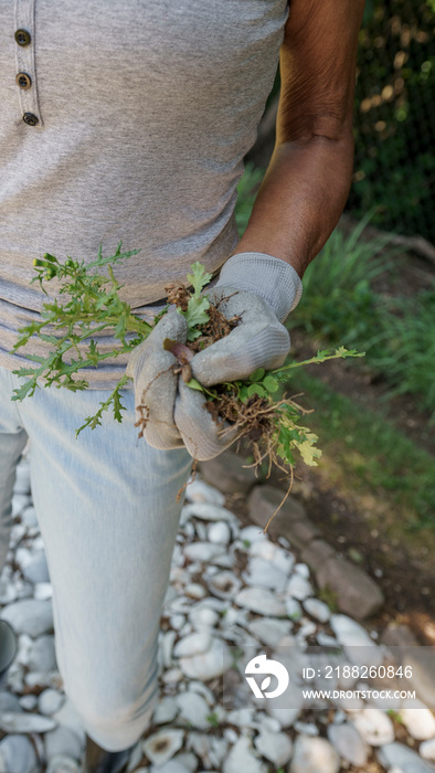 Senior woman holding weeds