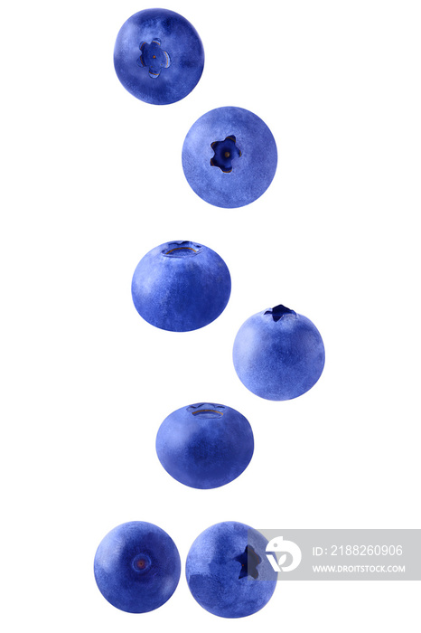 Falling blueberries on white