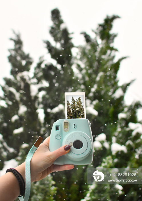 Instant pic of bush while snowing with instant camera on the photo